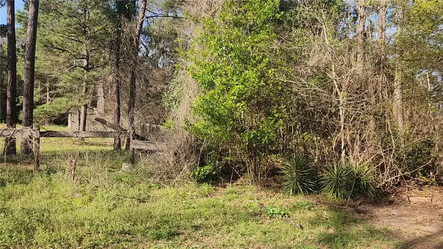 Lot 7 Sweetleaf Lane, Plantersville, TX 77363 - #2
