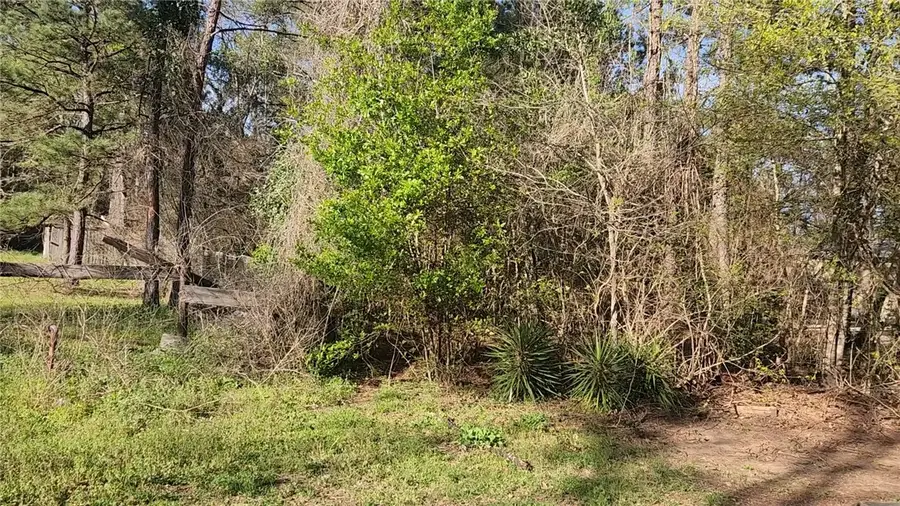 Lot 7 Sweetleaf Lane, Plantersville, TX 77363 - #3