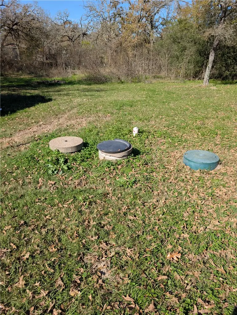 1524 Paradise Way, Navasota, TX 77868 - #3