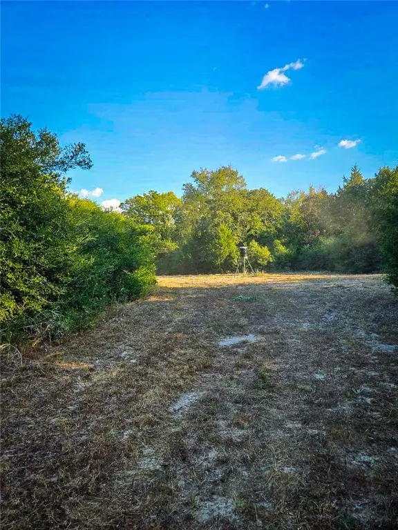 TBD County Rd. 482, Normangee, TX 77871 - Image #1