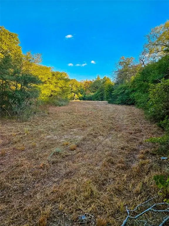 TBD County Rd. 482, Normangee, TX 77871 - Image #2