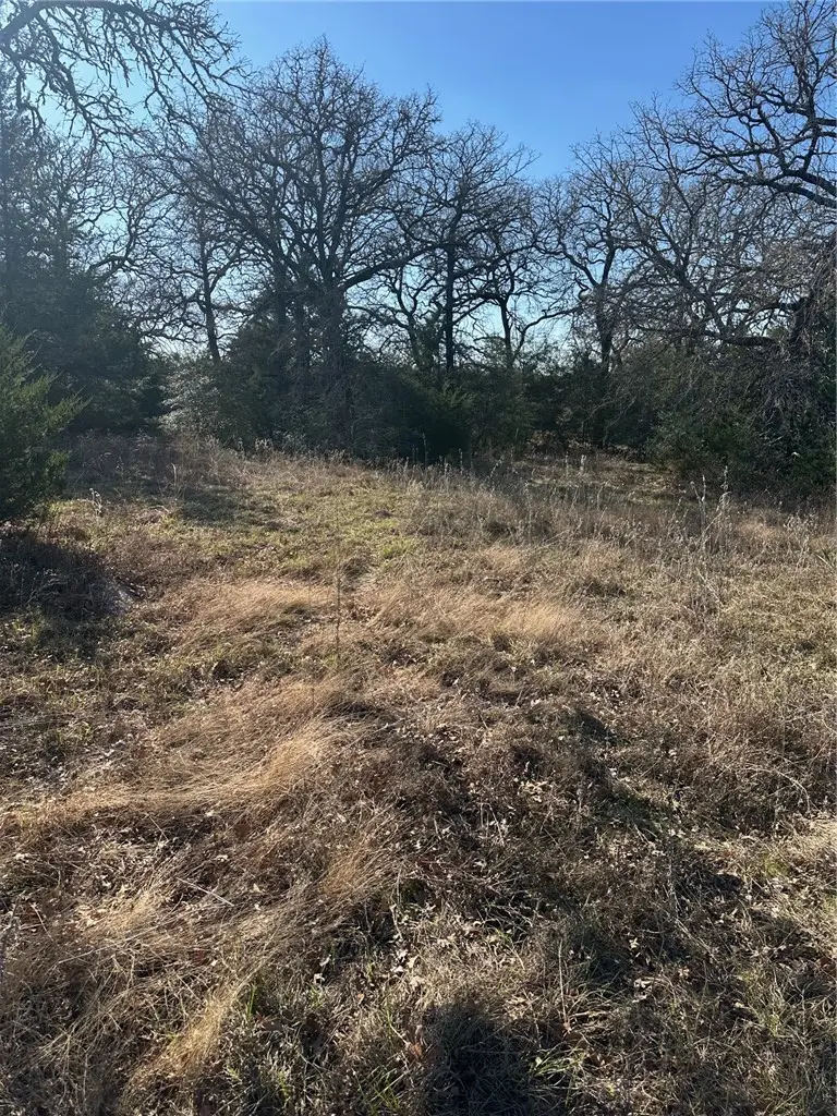 TBD Pauline Ln, Caldwell, TX 77836 - Image #2