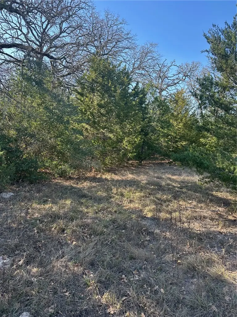 TBD Pauline Ln, Caldwell, TX 77836 - Image #3