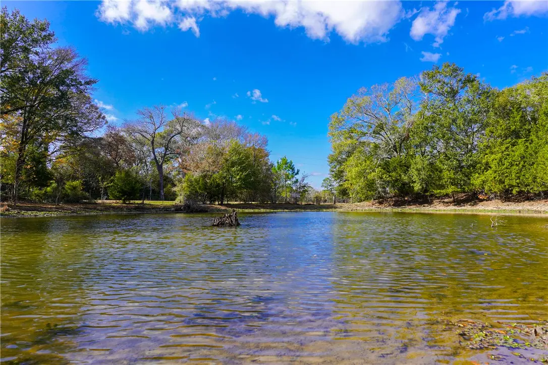 31174 Courtney Rd, Navasota, TX 77868 - Image #1