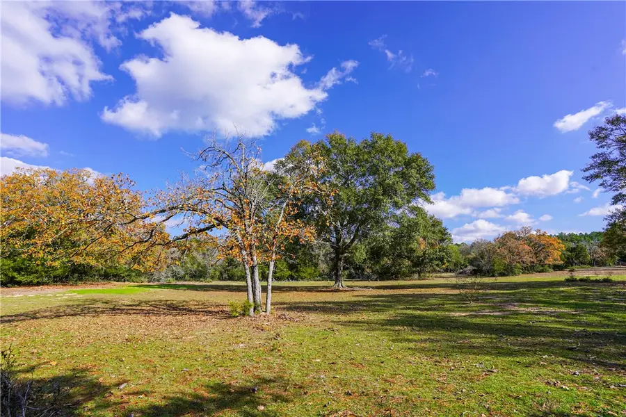 31174 Courtney Rd, Navasota, TX 77868 - Image #3