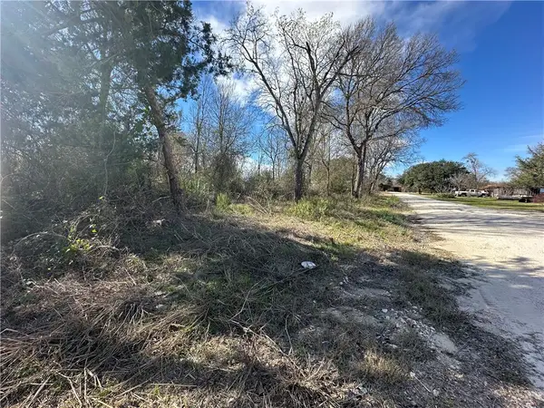 TBD Willow Street, North Zulch, TX 77872