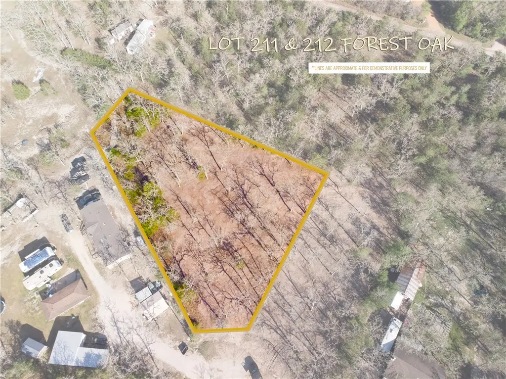 511 Forest Oak Drive, Somerville, TX 77879 - Image #1