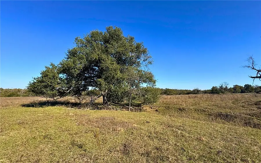 4834 Old Boone Prairie (107.53 Acres) Road, Franklin, TX 77856 - Image #2