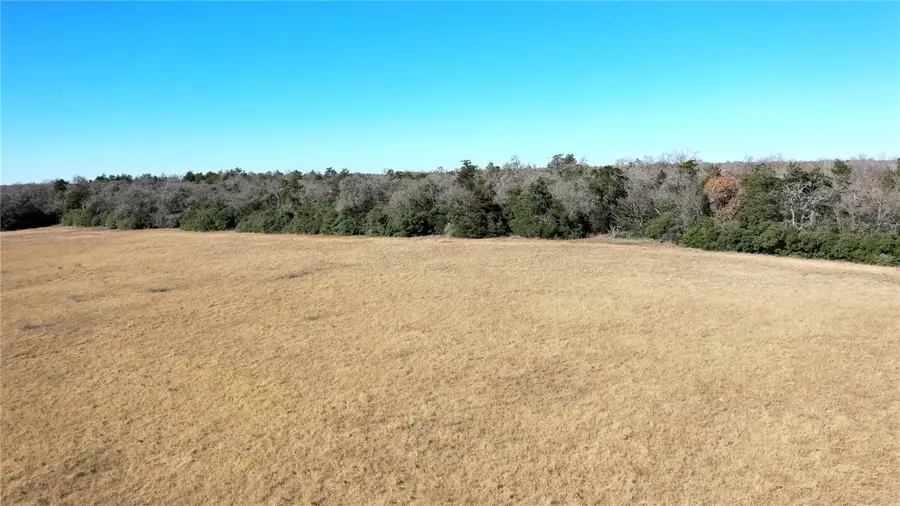 TBD Cr 328 Tract 8, 11 Acres Road, Caldwell, TX 77836 - #3