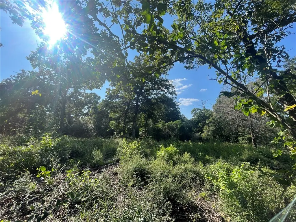 TBD Dogwood Lane, Hilltop Lakes, TX 77871 - Image #1