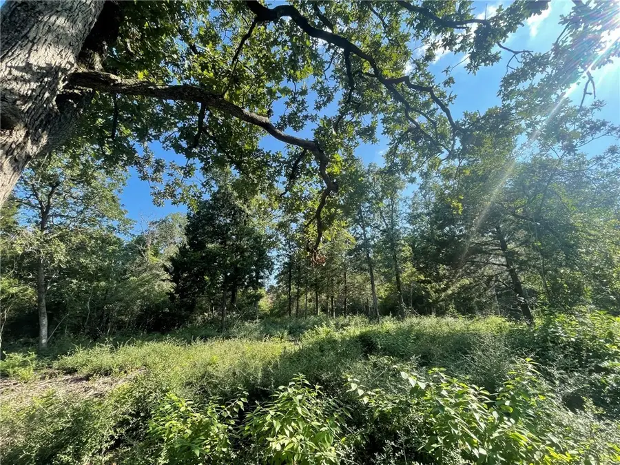 TBD Dogwood Lane, Hilltop Lakes, TX 77871 - Image #3