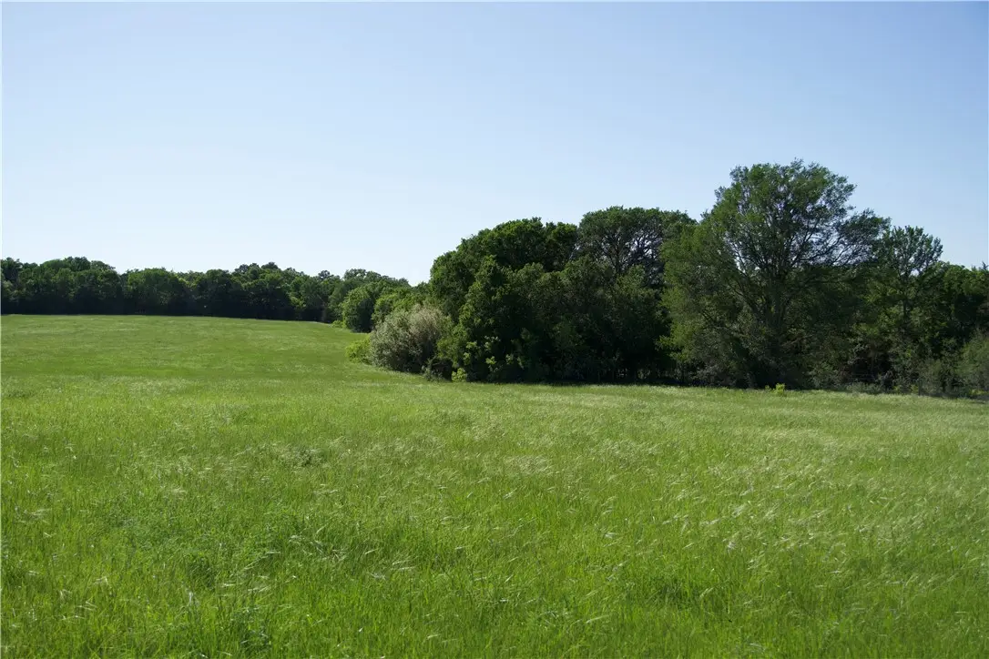 TBD St Delight (tract 4), Paige, TX 78659 - #1