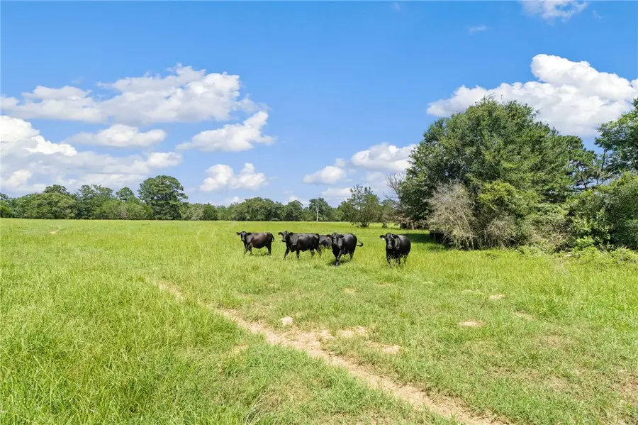 TBD St Delight (tract 4), Paige, TX 78659 - #2