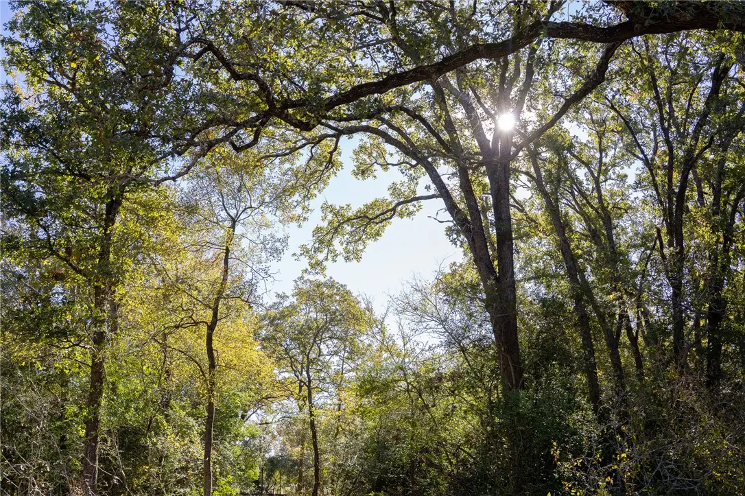 0000 Isaiah Estates, Bryan, TX 77808 - Image #1