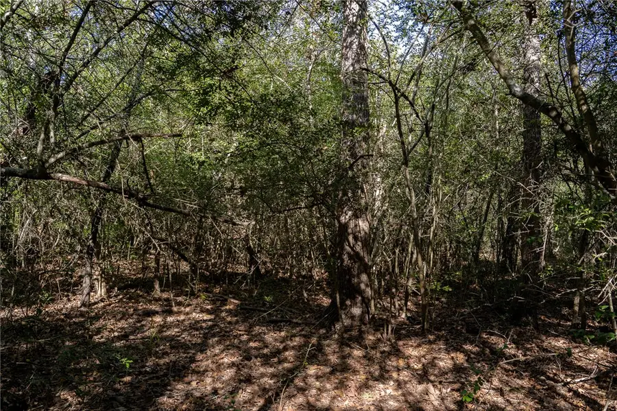 0000 Isaiah Estates, Bryan, TX 77808 - Image #3