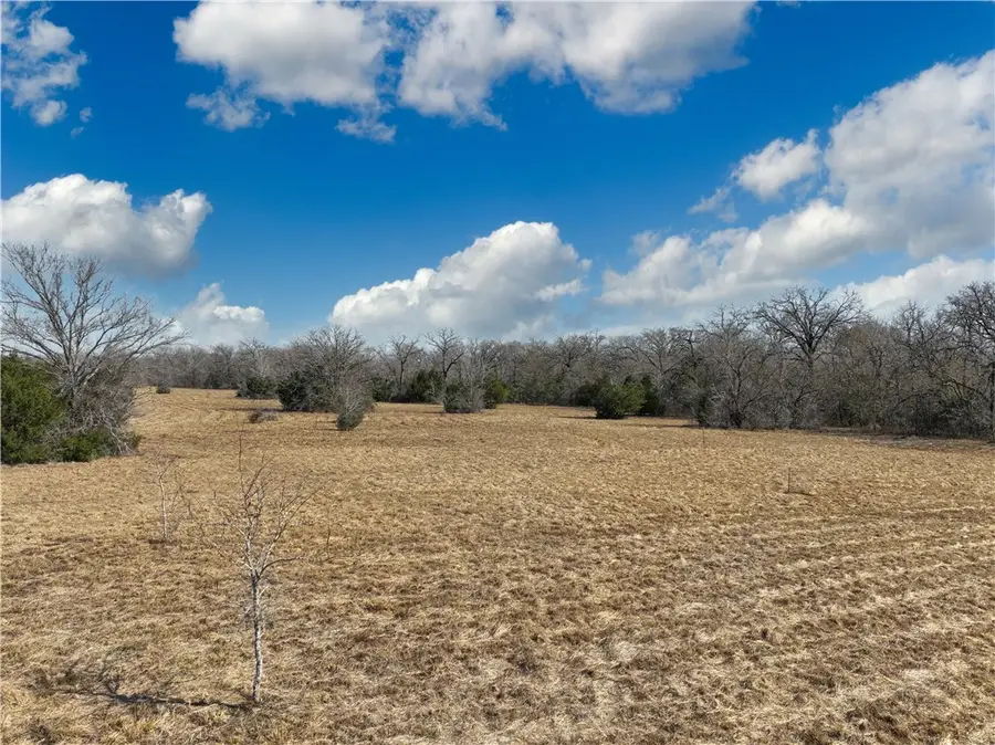 12599 Fm 2620, Bedias, TX 77831 - #2