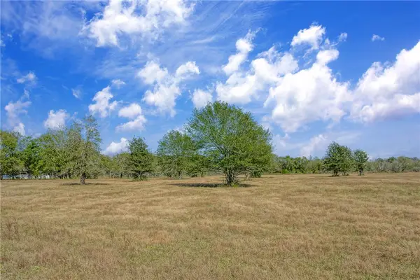 Lot 12 County Road 229, Bedias, TX 77831