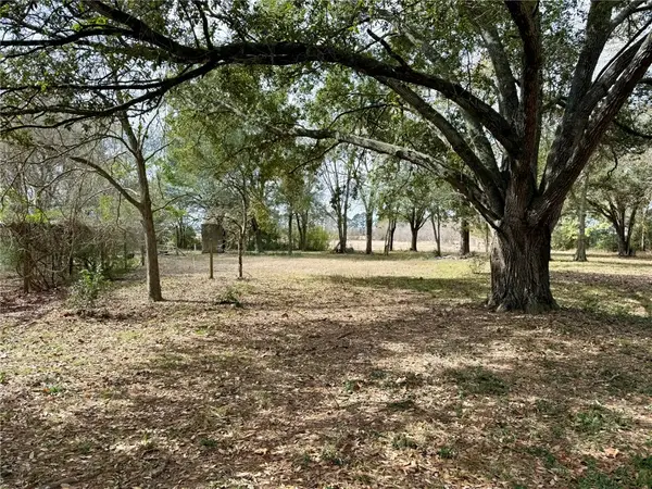 31318 Knebel Road, Waller, TX 77484