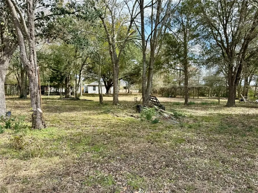 31318 Knebel Road, Waller, TX 77484 - #3