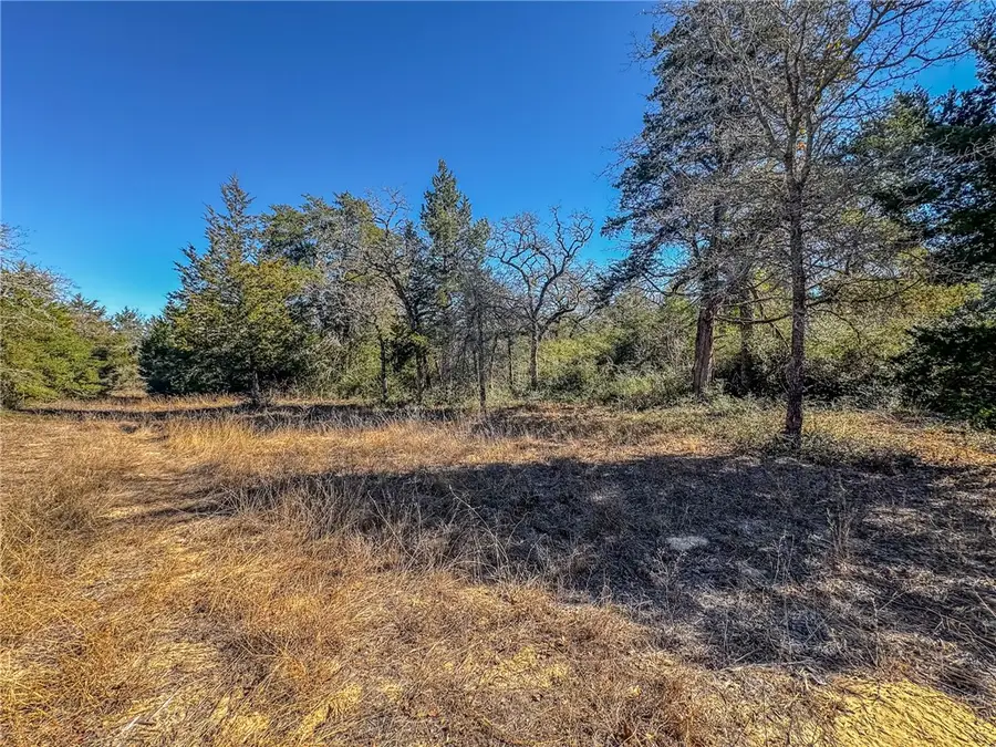 1202 Moonglow Lane, Caldwell, TX 77836 - #3