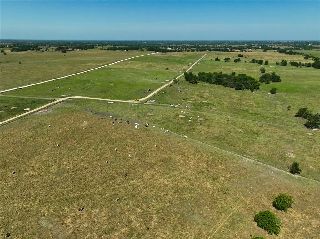 Tract #6 County Road 305, Navasota, TX 77868 - #1