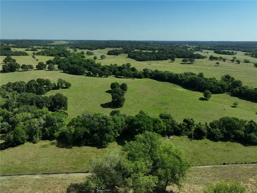 Tract #6 County Road 305, Navasota, TX 77868 - #2