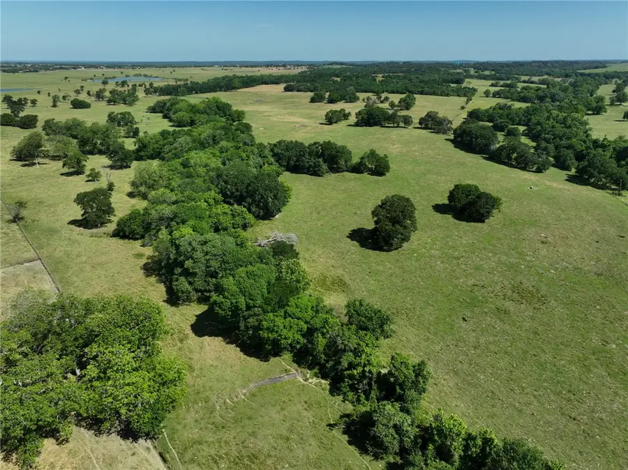 Tract #7 County Road 305, Navasota, TX 77868 - #3