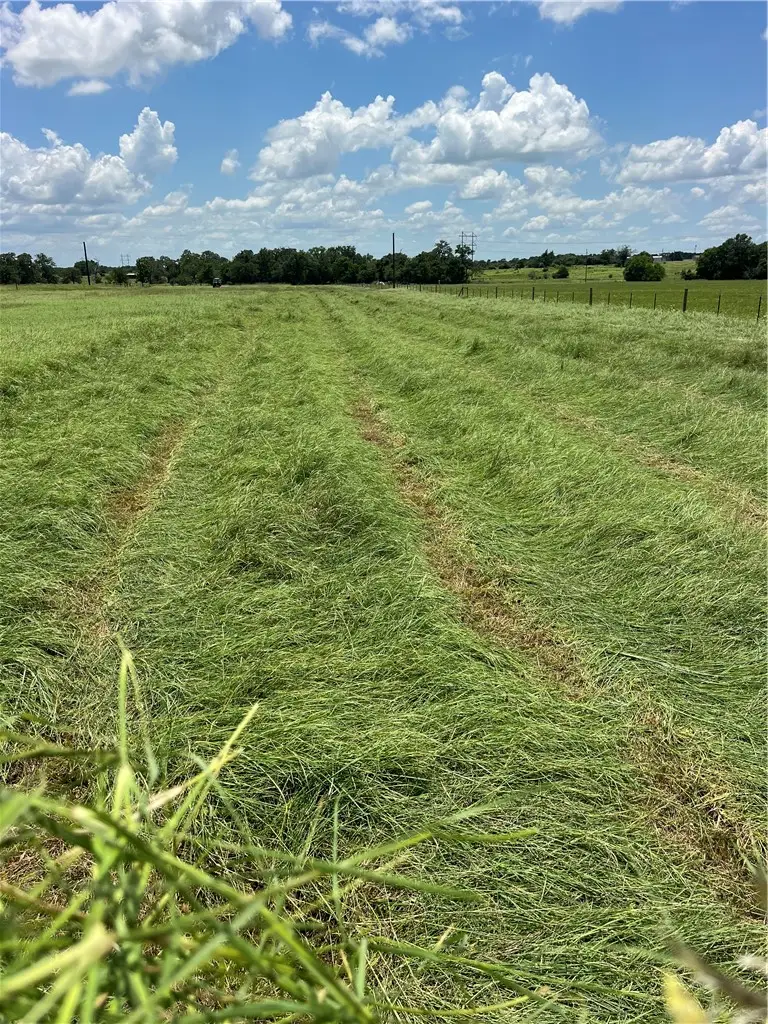 7303 Bickham Cemetery Road, Bryan, TX 77808 - #3