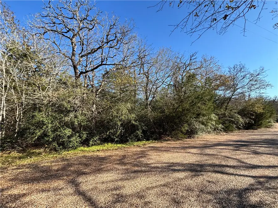 Lot 11 Oak Ridge Dr, Somerville, TX 77879 - Image #2