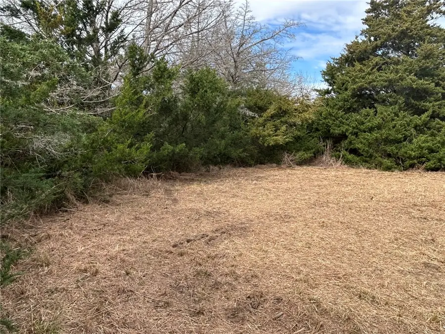 TBD Deer Run Countyroad, College Station, TX 77845 - Image #2