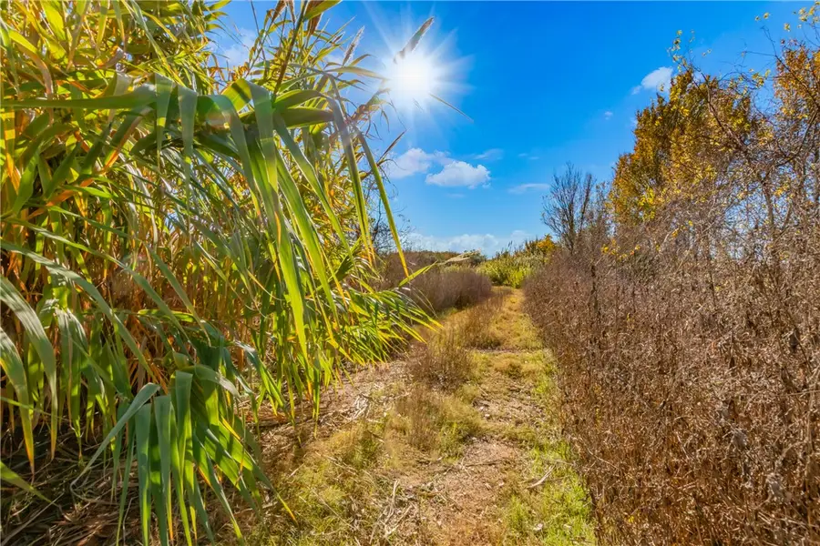 TBD Us-79, Hearne, TX 77859 - Image #3