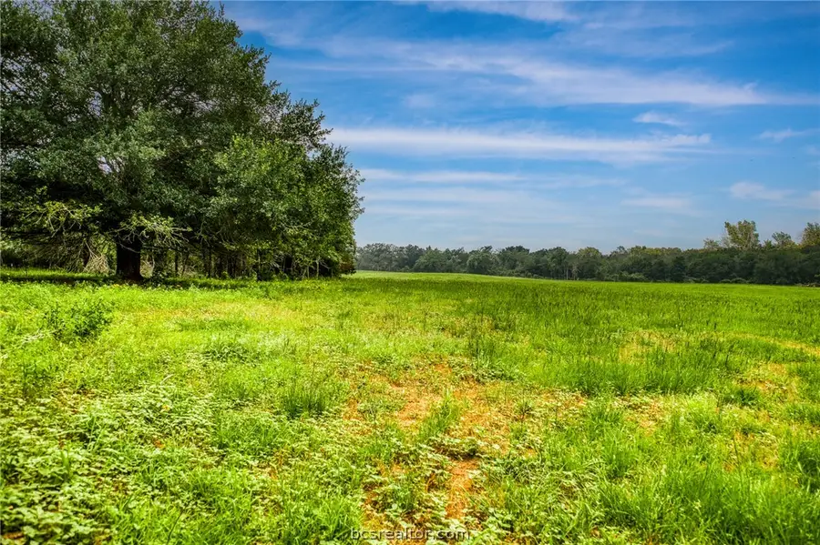 10610 County Road 322, Caldwell, TX 77836 - #2