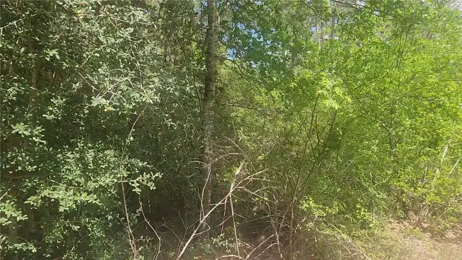 Lot 5 Tupelo Lane, Plantersville, TX 77363 - #3