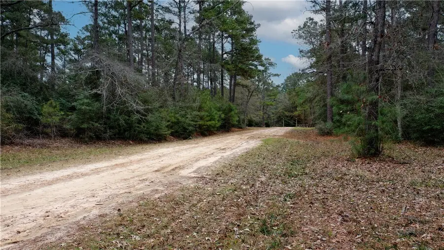 TBD Lone Star Road, Navasota, TX 77868 - #3