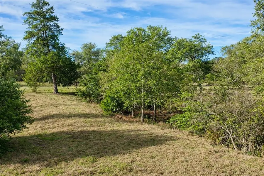 TBD S Fm 46 (+/- 10 Acres), Franklin, TX 77856 - #2