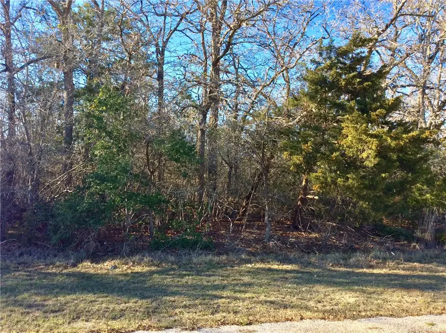 320 Alvina Ulrich, Somerville, TX 77879 - #3