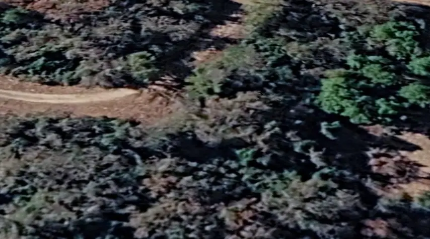 Blk 1 Lot 47 Sioux Lane, Normangee, TX 77871 - #2