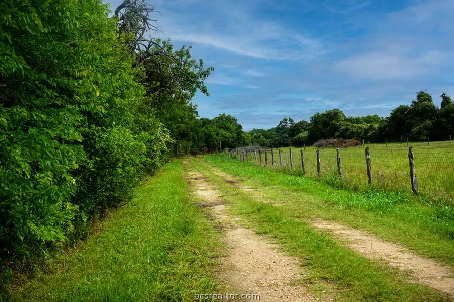 TBD Holle Ln, Washington, TX 77880 - #3