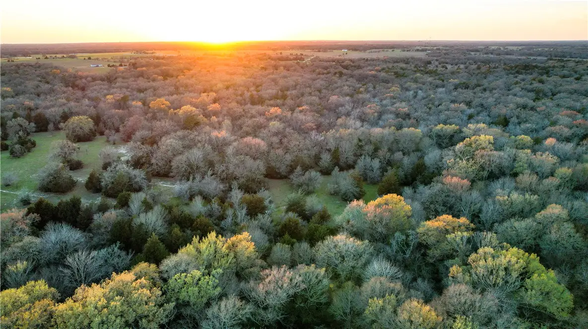 TBD Opersteny Road, Bryan, TX 77808 - #1