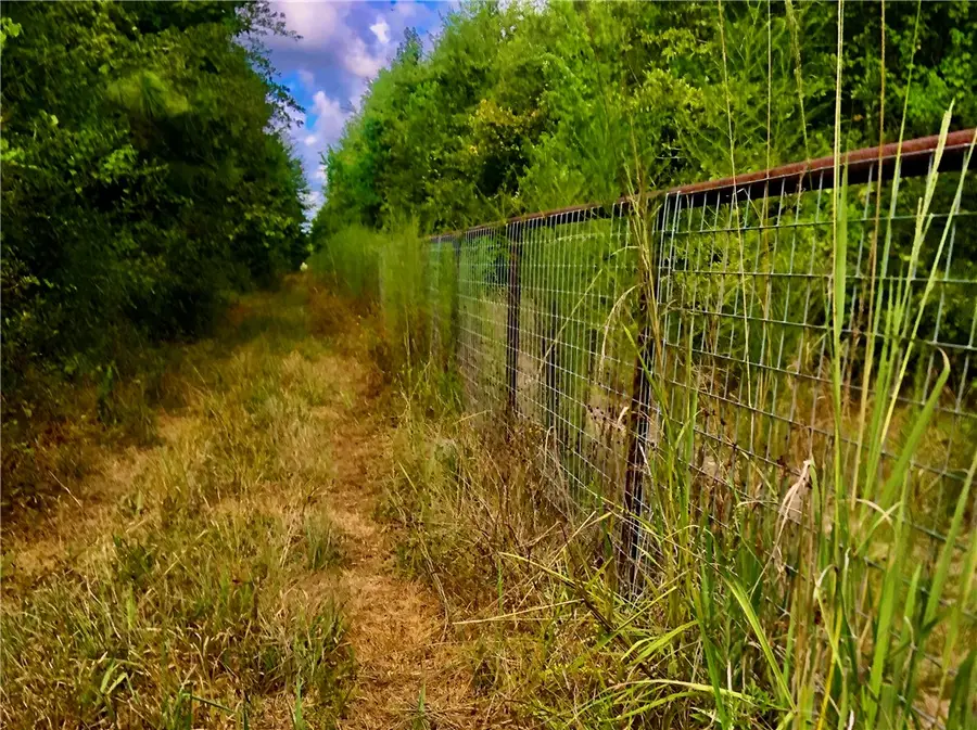 1516 Fm 2518 Road, Cleveland, TX 77327 - #3