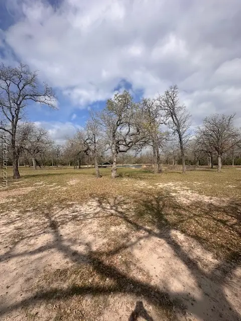 13734 Oak Drive, Iola, TX 77861 - #3