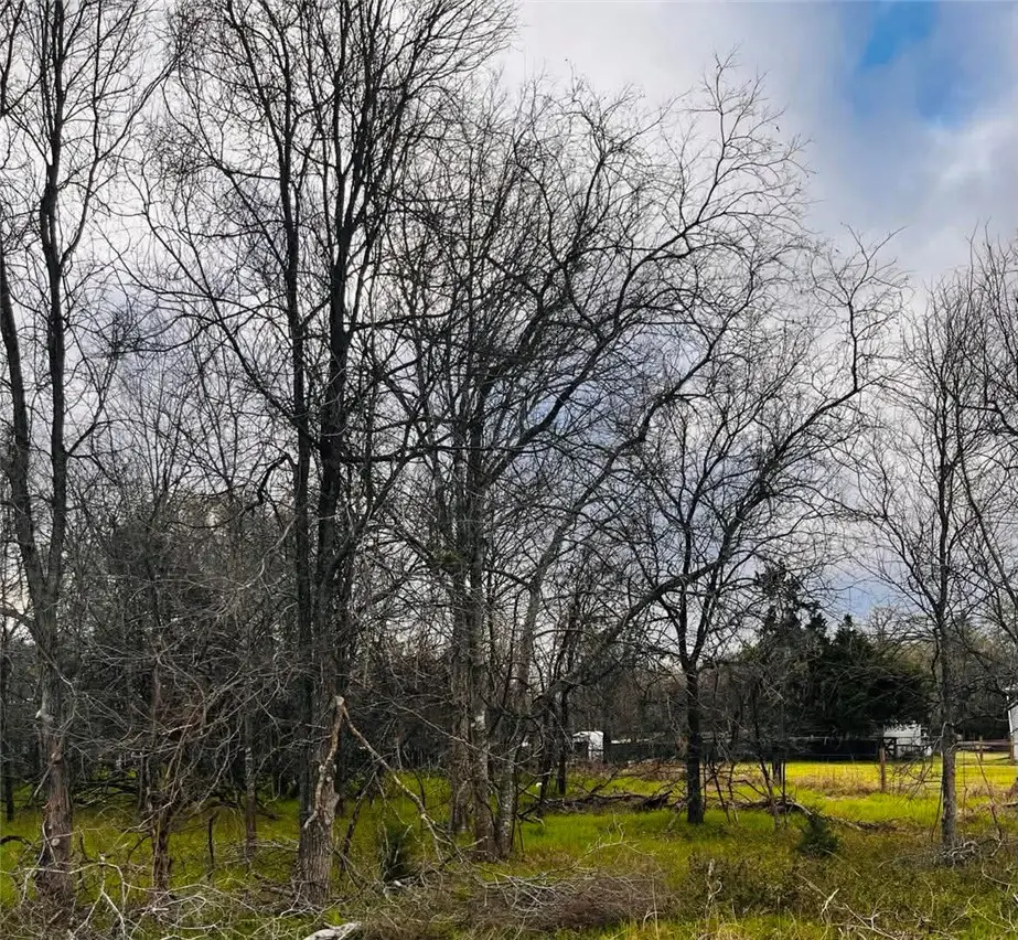 TBD Railroad Road, Somerville, TX 77879 - #1