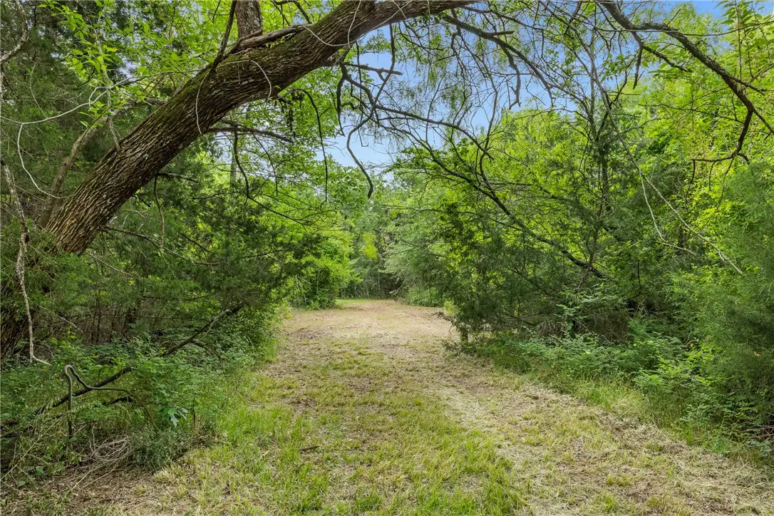 3797 County Road 328, Caldwell, TX 77836 - #1