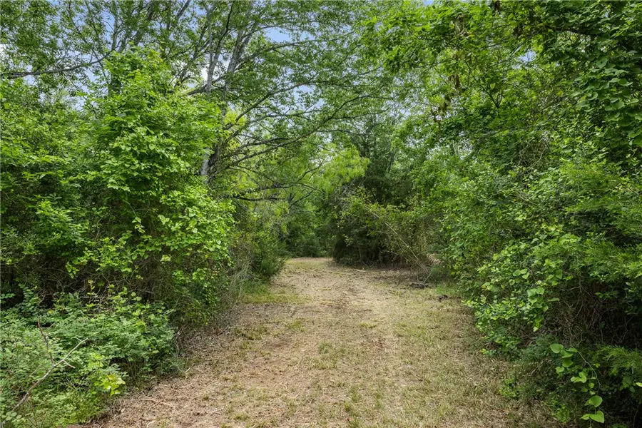 3797 County Road 328, Caldwell, TX 77836 - #2