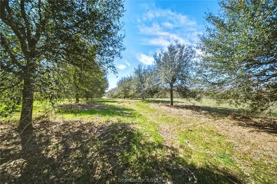 TBD Little Mississippi Cemetery Road, Franklin, TX 77856 - #2