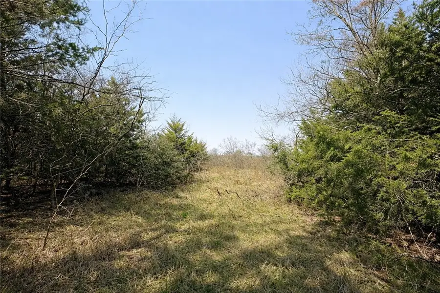 TBD (+/- 5 Acres) County Road 379, Franklin, TX 77856 - #3