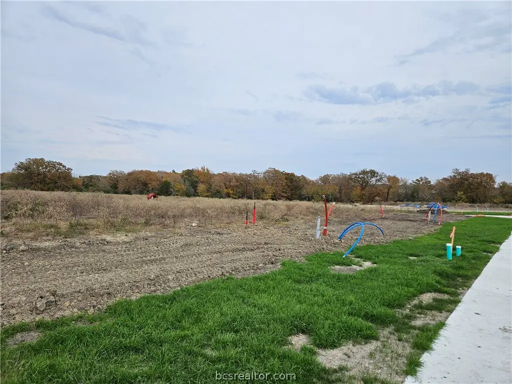 2805 Goldberg Drive, Bryan, TX 77808 - #1