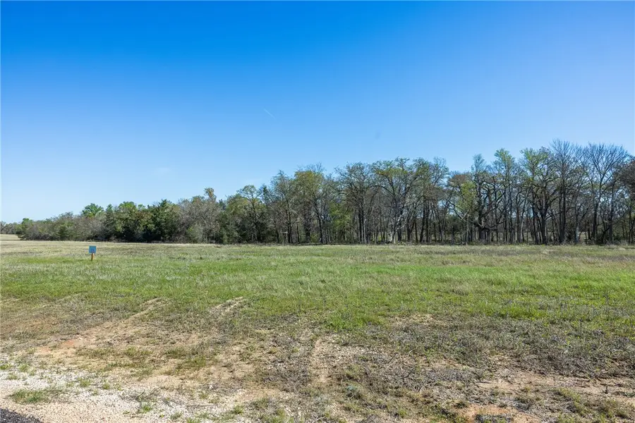 212 Little Branch Ln, Cameron, TX 76520 - #3