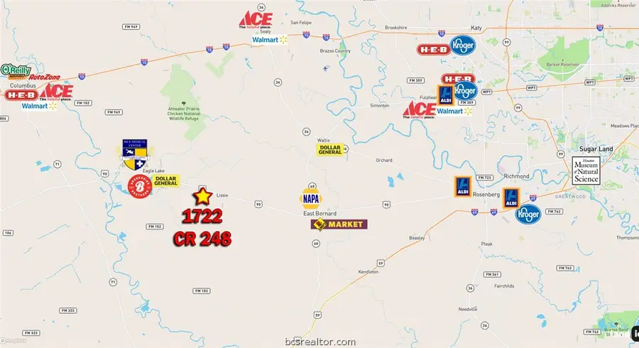 1722 County Road 248, Lissie, TX 77454 - #2