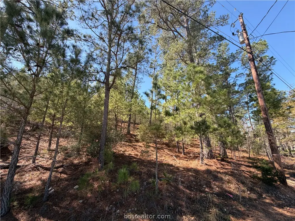 TBD Mamalu Drive, Bastrop, TX 78602 - #1